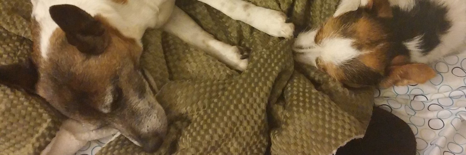 NenaSaysHi 🐶🐕🦝 banner