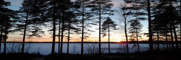 nyyhause Profile Banner