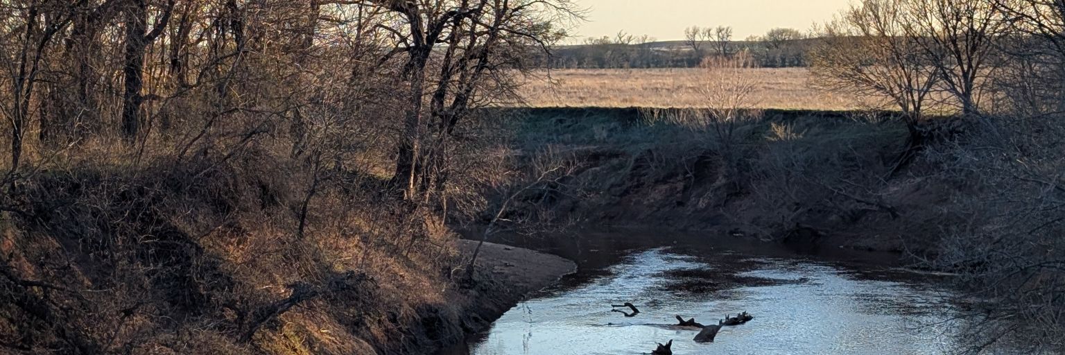 jessesgurl511's profile banner image