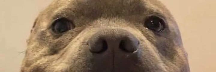 icrankiest's profile banner image