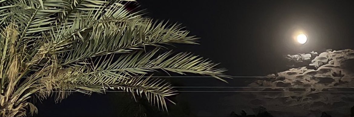 Asal216's profile banner image