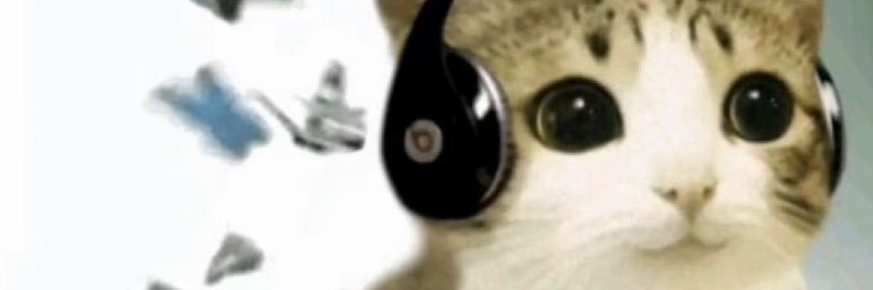 hello kitty cyanide ˖ ݁♬⋆.˚𝄞. banner