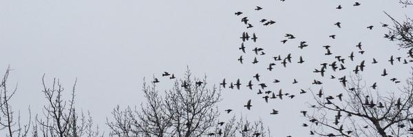 ValMcBaird Profile Banner