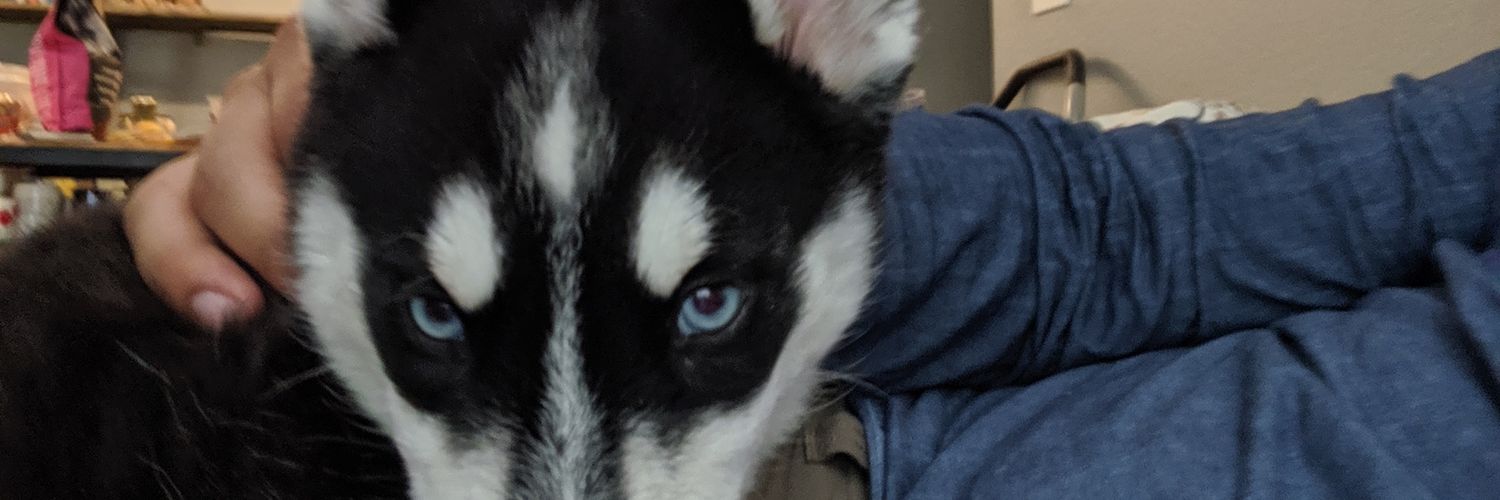 4H0N0R's profile banner image