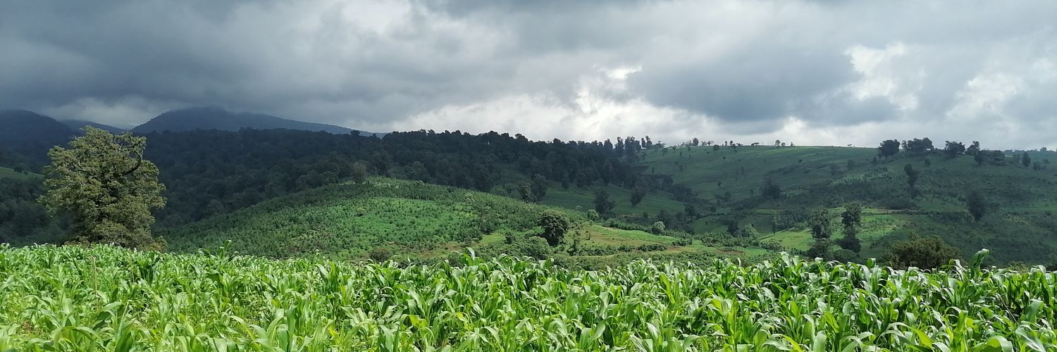 wandera316's profile banner image