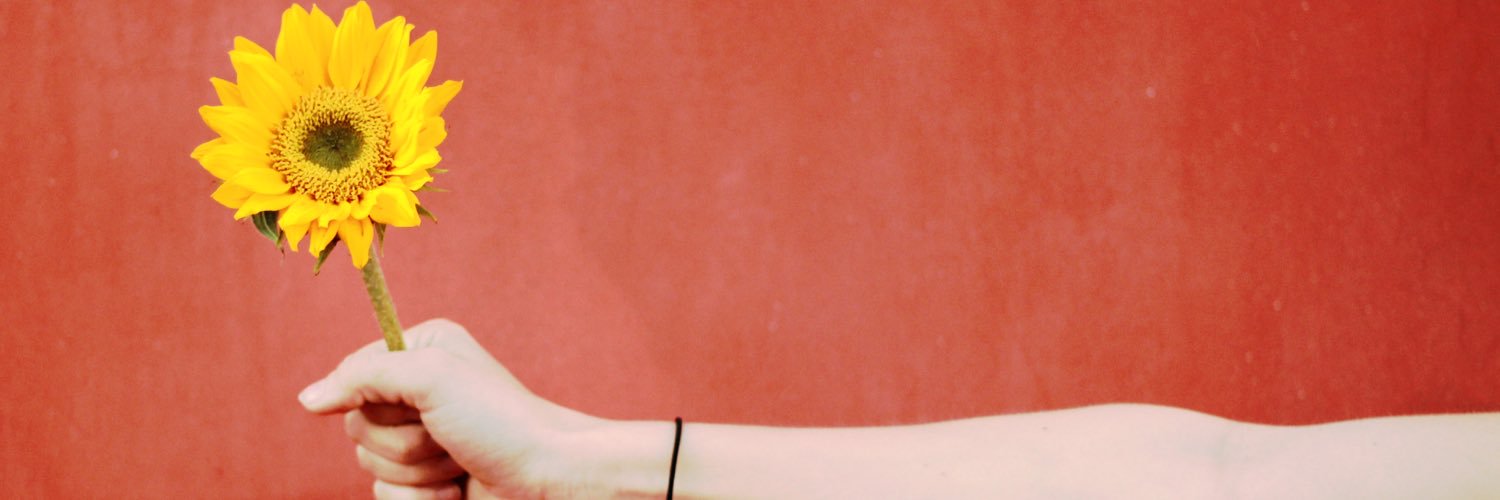 BriWehnerMusic's profile banner image