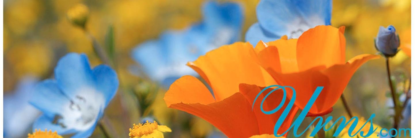 KeepsakeUrns's profile banner image