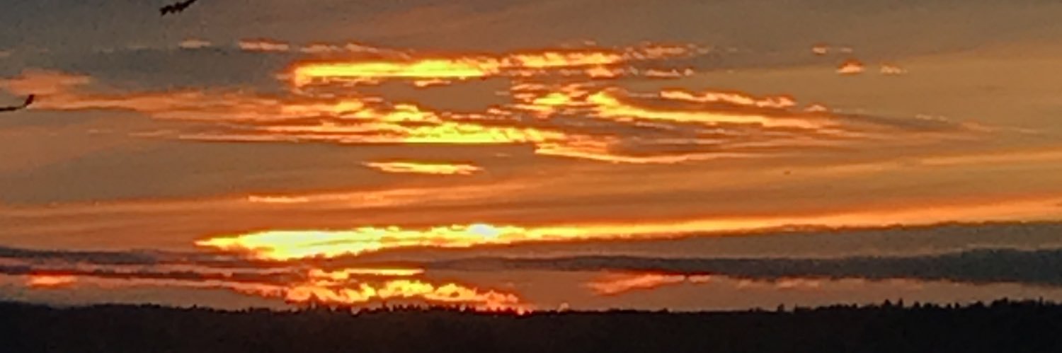 Denise Whitaker🏃‍♀️ banner