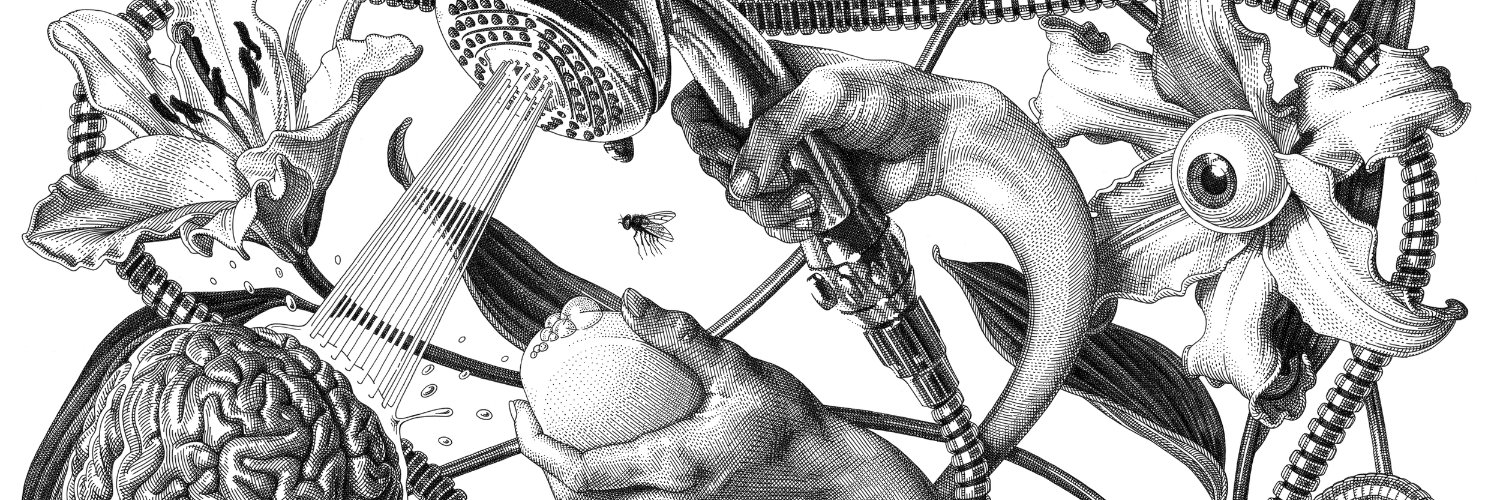 𝖄𝖆𝖘𝖚𝖐𝖊 banner