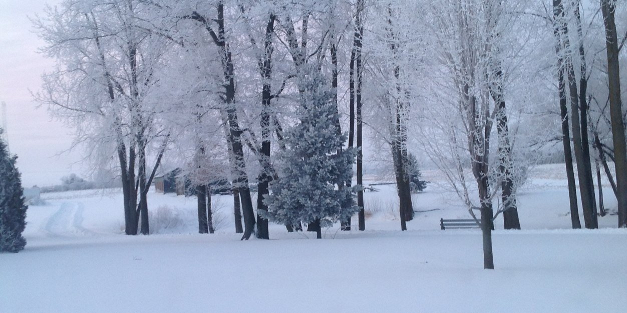 grandmalife2's profile banner image