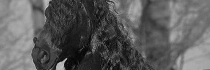 فطّم. banner