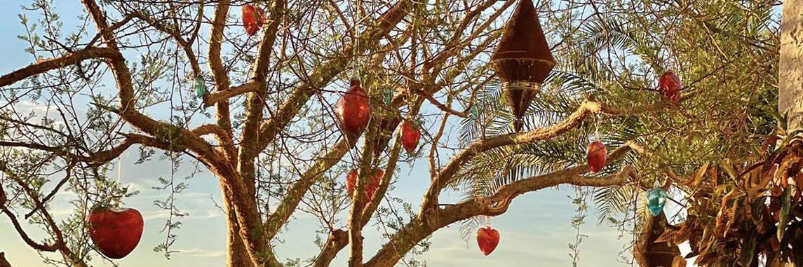Mirindacr's profile banner image