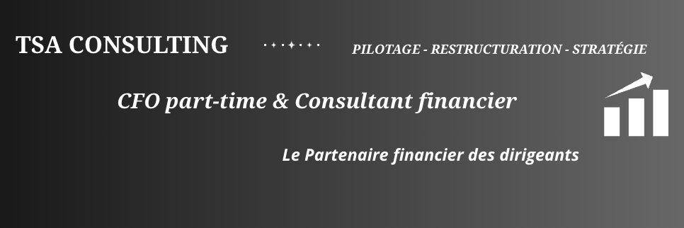 TSA CONSULTING - Sacha GAUBE banner