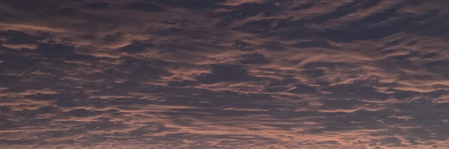allisoledispa's profile banner image
