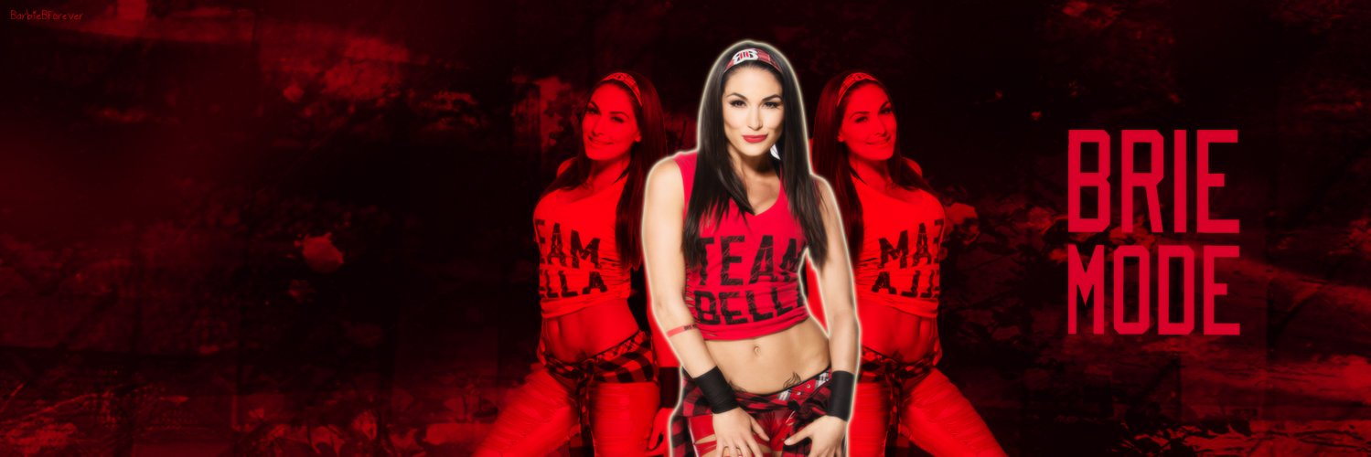 FearlessBrie's profile banner image
