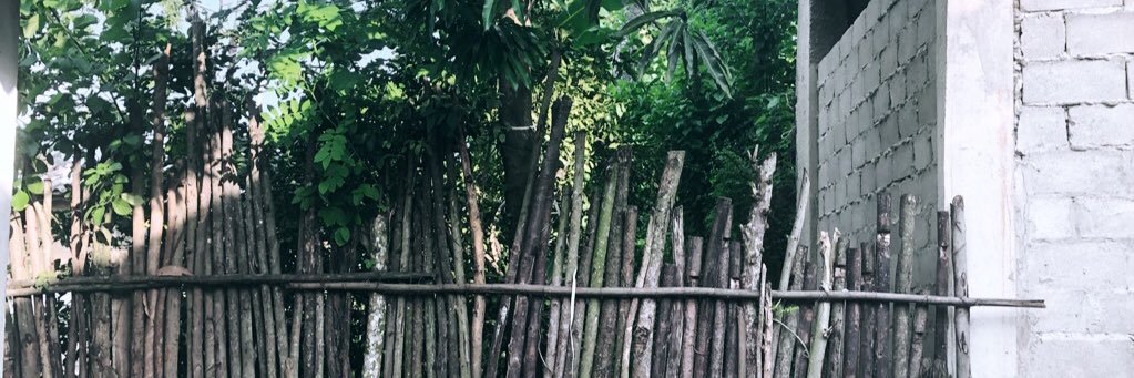 ShayoAnna's profile banner image