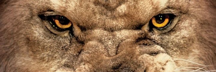 ReginaldRoyalty's profile banner image