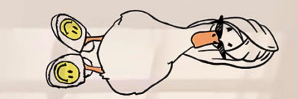 kaelyncrede's profile banner image