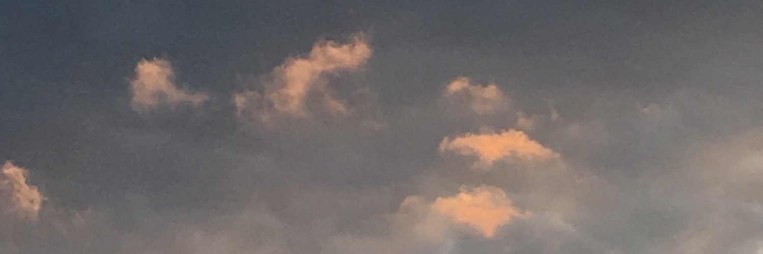 biancatorres01's profile banner image