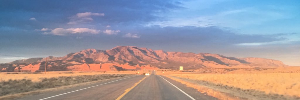 𝓢𝓱𝓮𝓵𝓵𝓲𝓮 🌵🏜️🔱🪶 banner