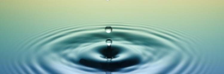 mindfulness51's profile banner image