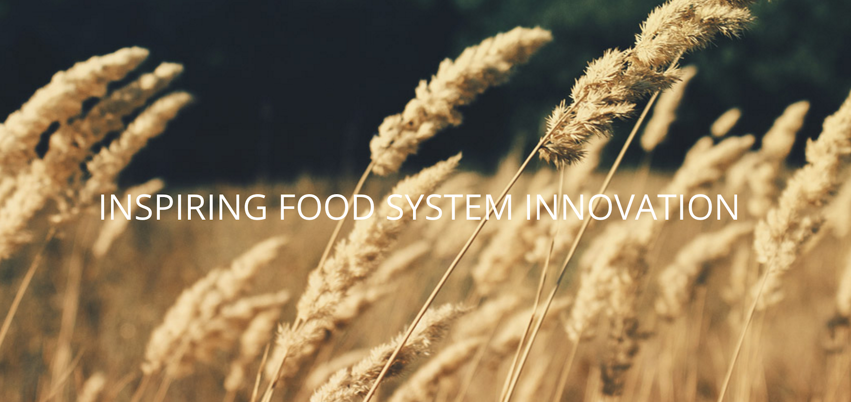 Food Bytes banner