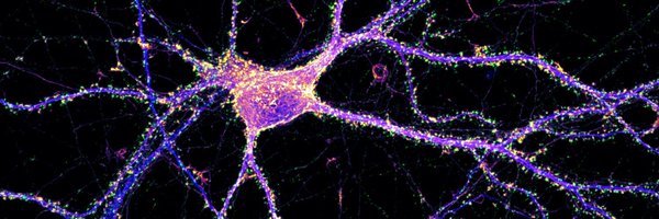 JaneJomy Profile Banner