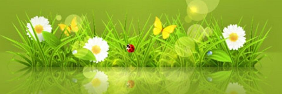 tbasden628's profile banner image