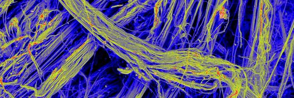 unisaresearch Profile Banner