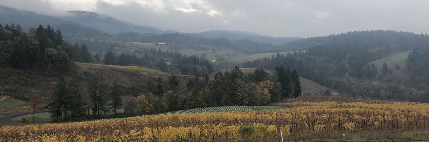 Kelly Schricker banner