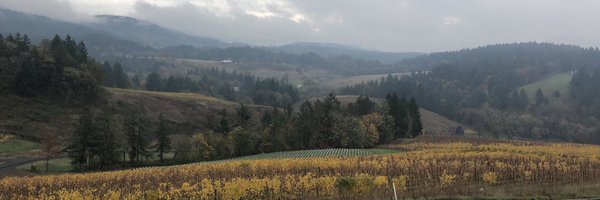 KSchricks Profile Banner