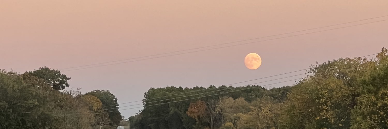 LeksiMacan's profile banner image