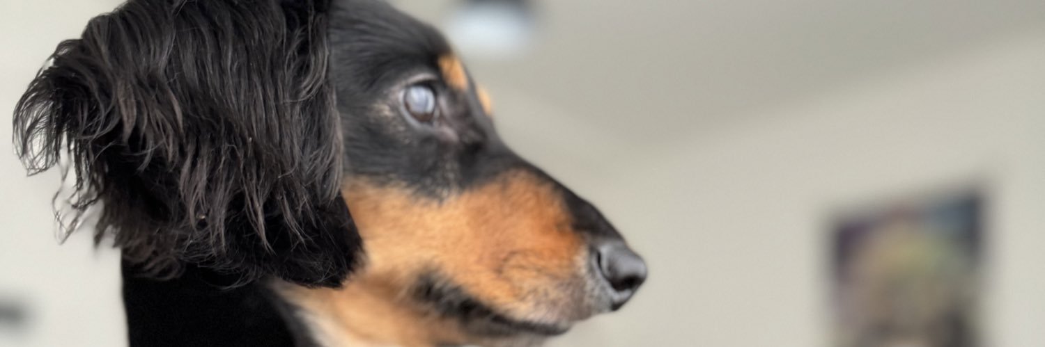 abcdefg2949's profile banner image