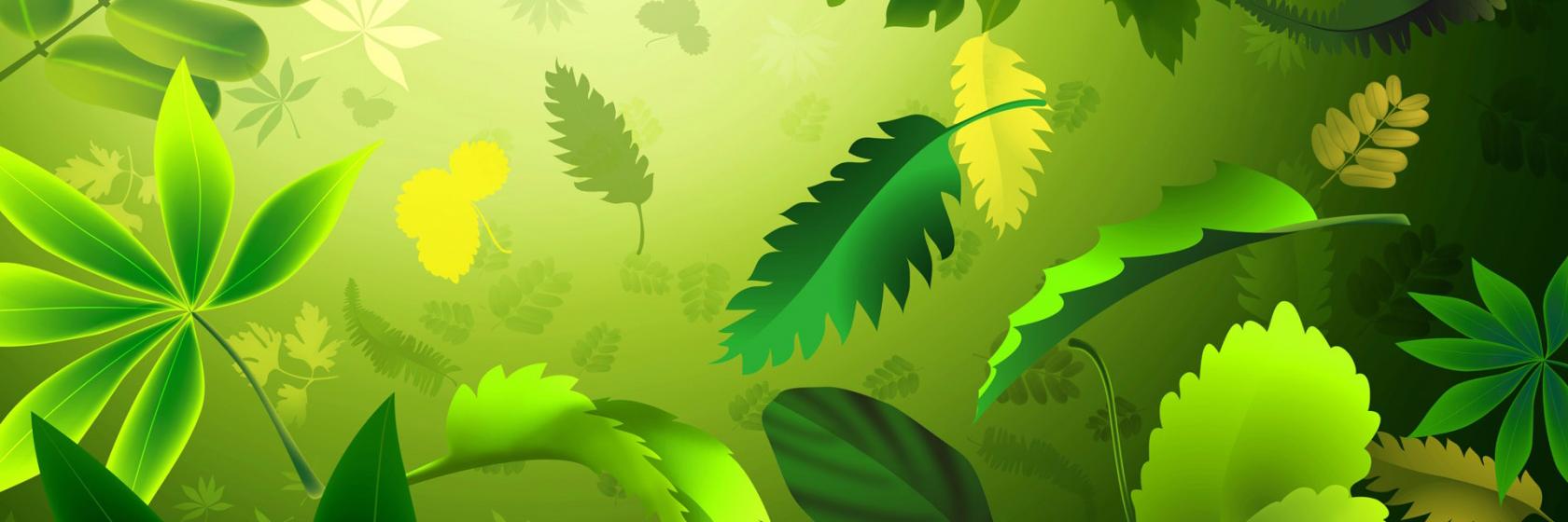 Satoshi Garden banner