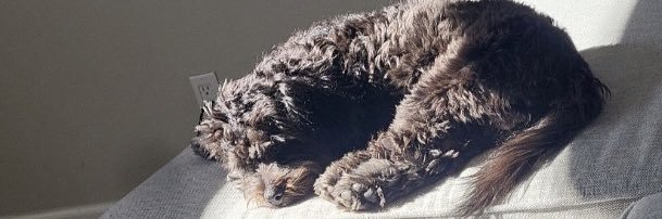 Charleyberry2's profile banner image