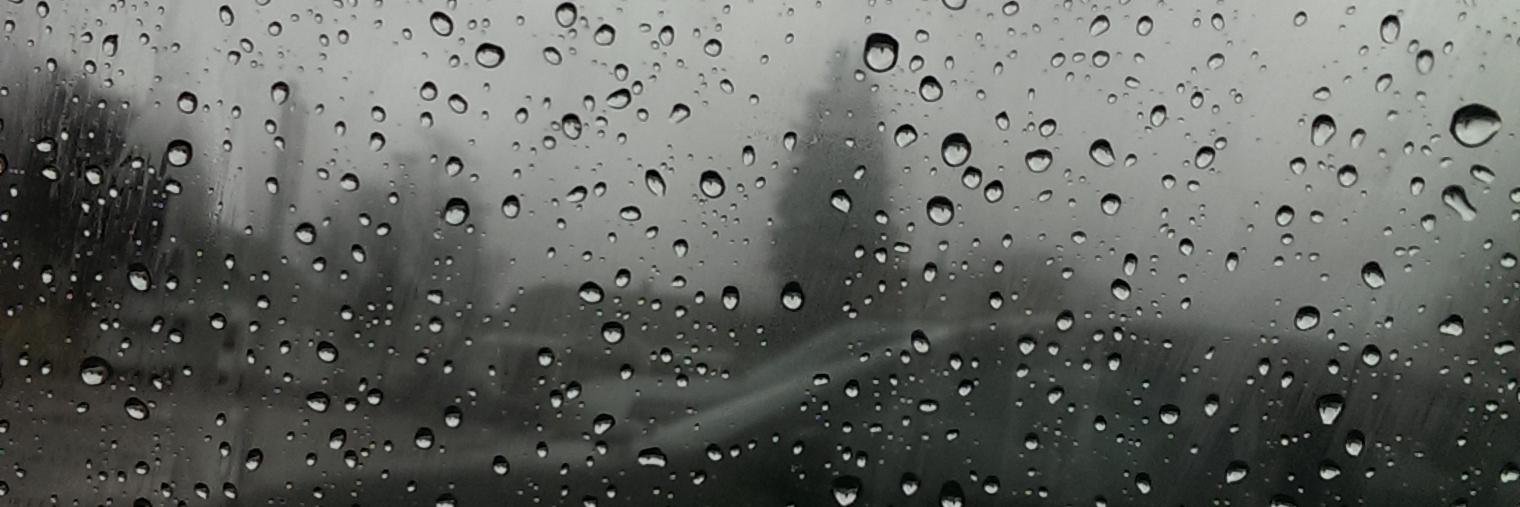 LinsReynolds's profile banner image