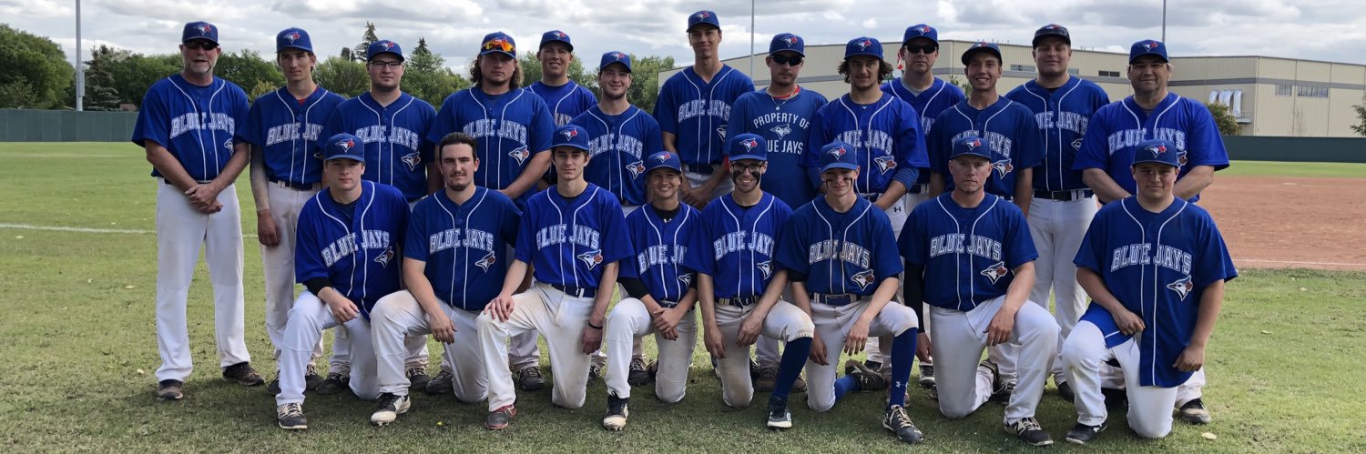 Interlake Blue Jays banner