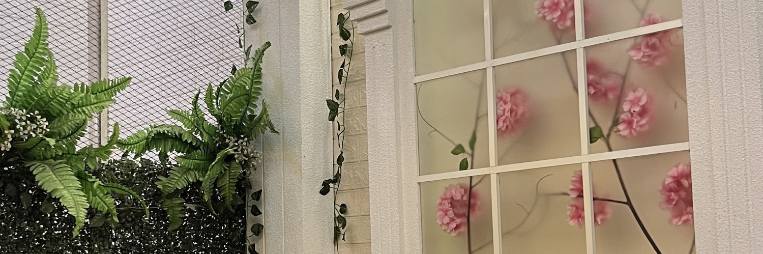 ⁵⁵🏎️ — van 🦄 banner