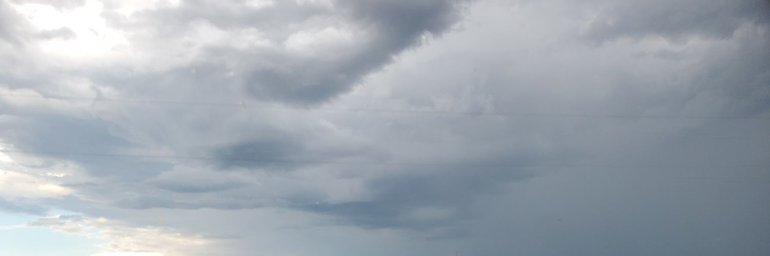 BookReportGirl's profile banner image