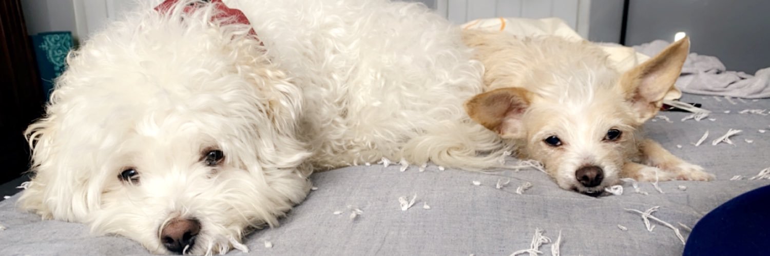 tacosocat_'s profile banner image