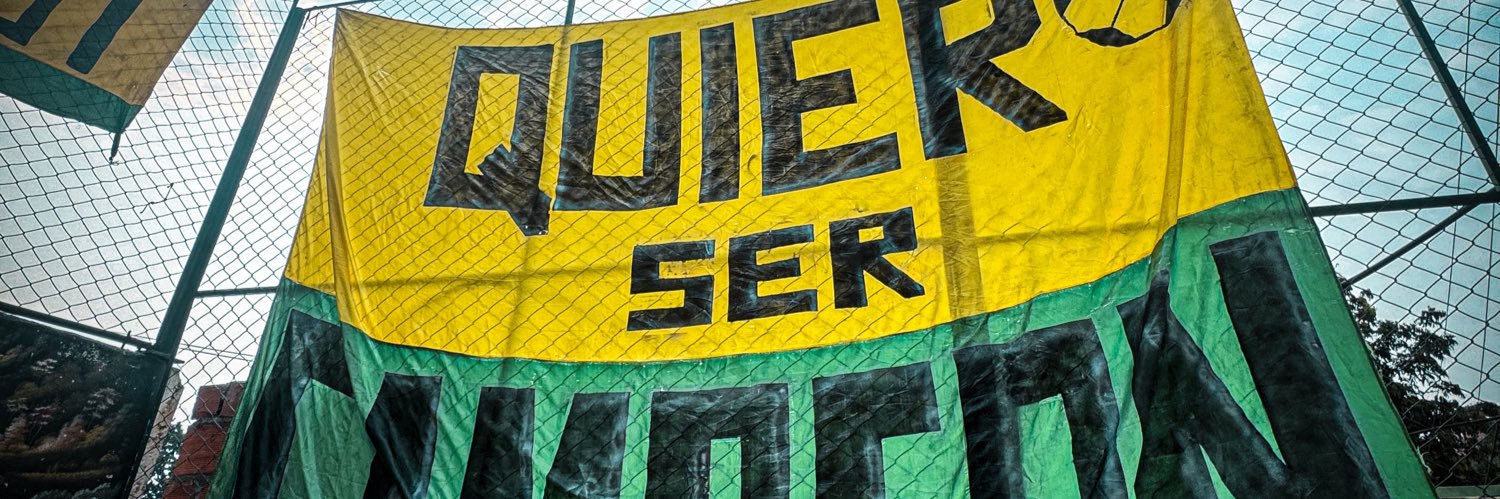 Daniela Torres banner