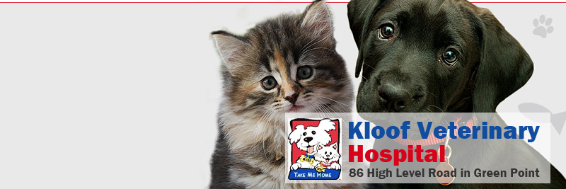 KloofVetSA's profile banner image