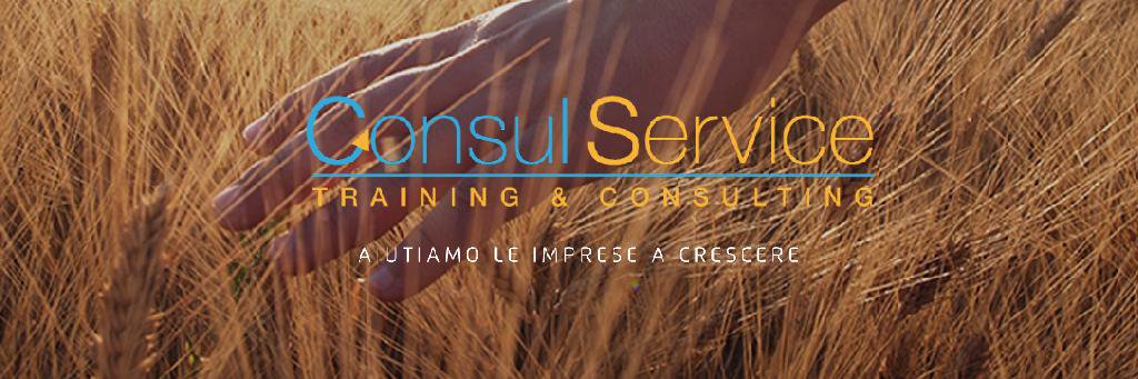 ConsulServiceCH's profile banner image