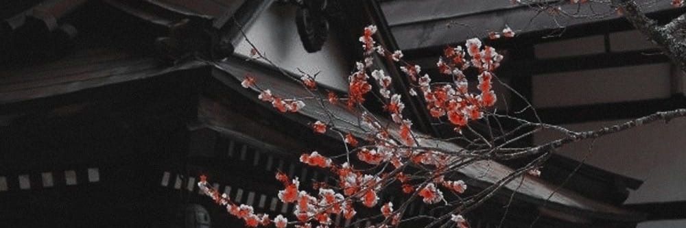 okware_steve's profile banner image