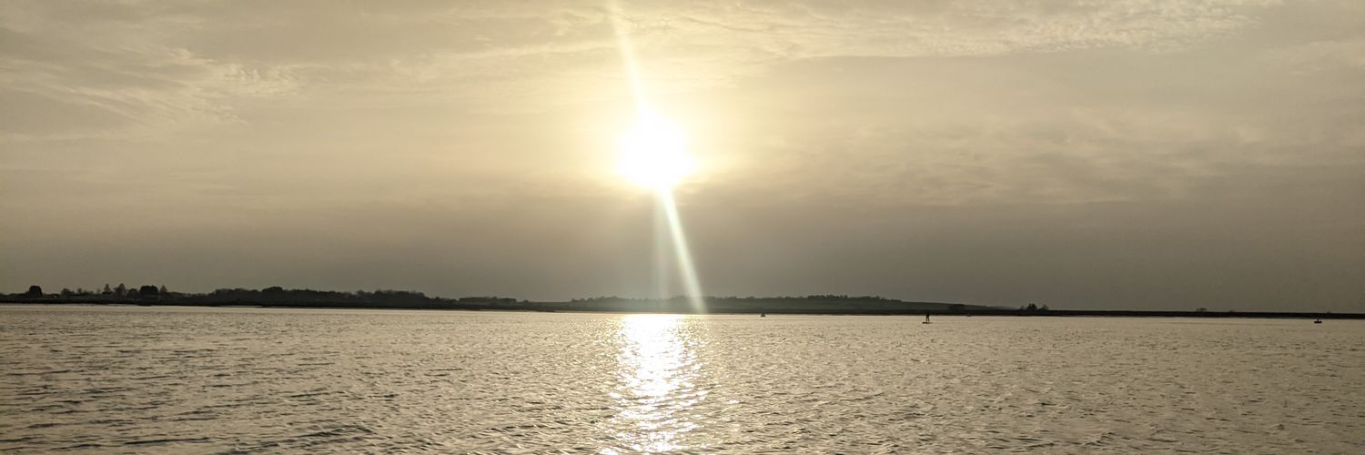 SeleneFox24's profile banner image