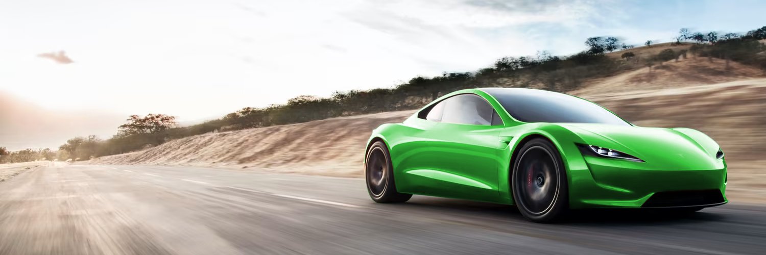 $TSLA Hodler's banner