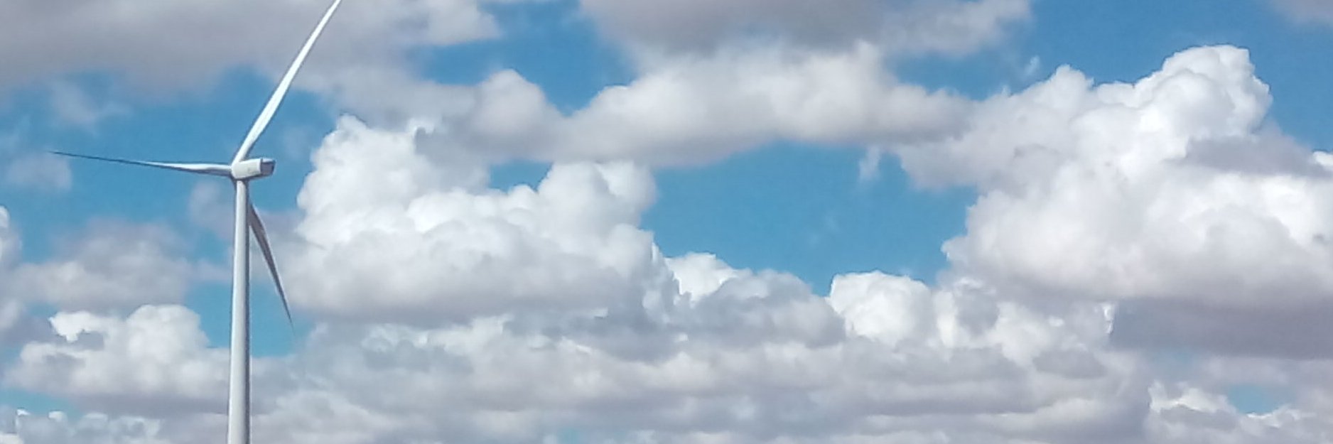 TomilloMaria's profile banner image