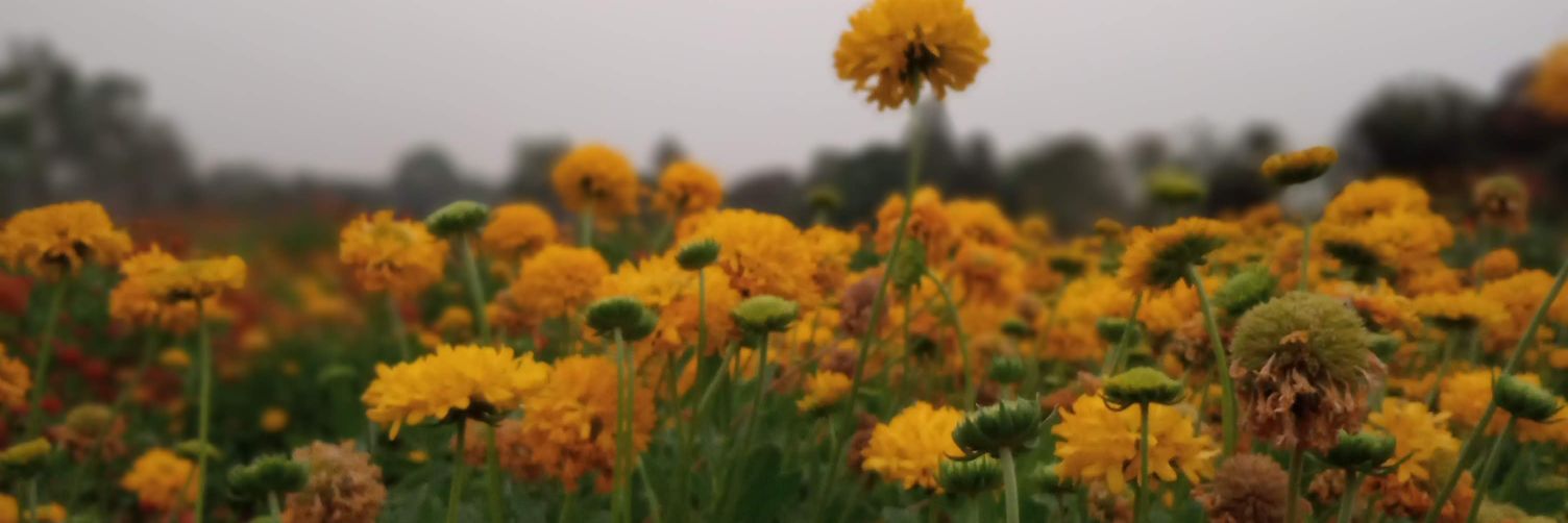 AkshayTalekar27's profile banner image