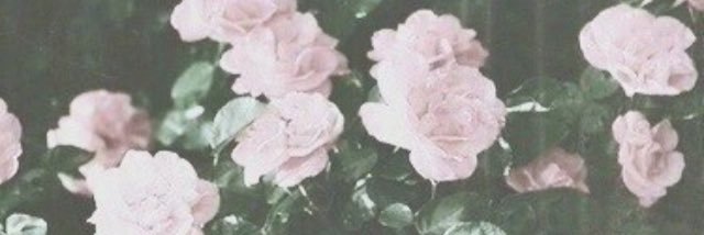 strongfighter9's profile banner image
