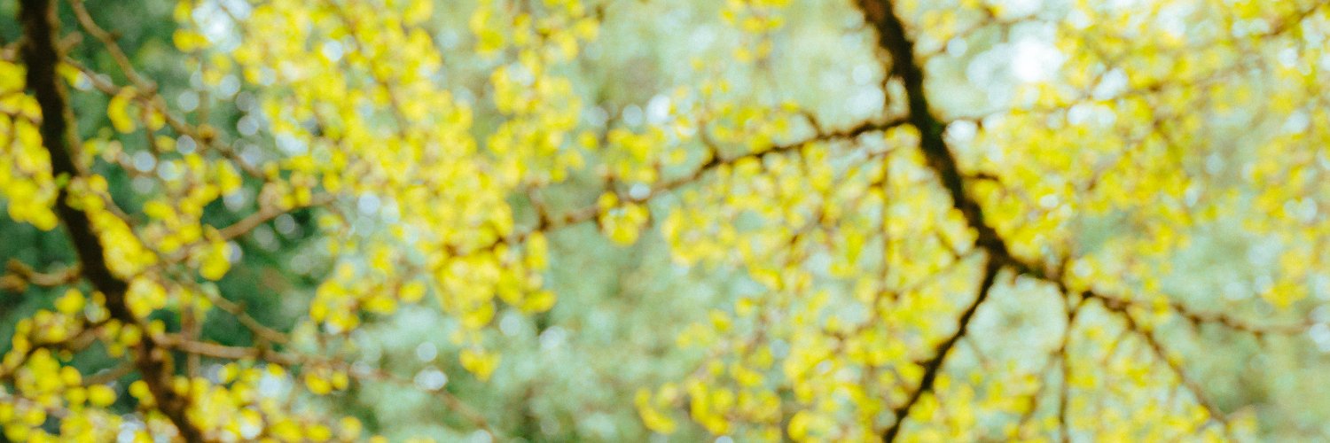 IshmaelEnsemble's profile banner image